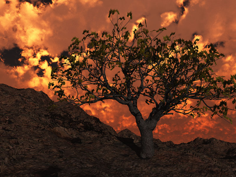 My Tree