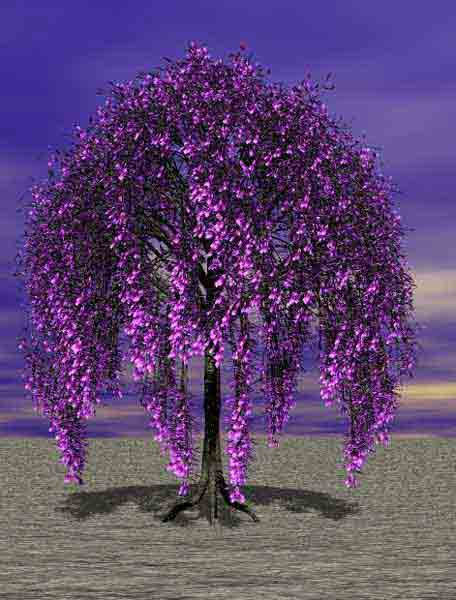 Tree 11 zip