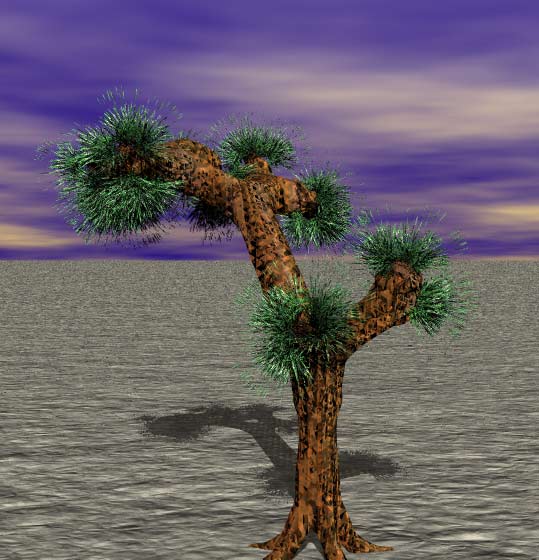 Tree 24