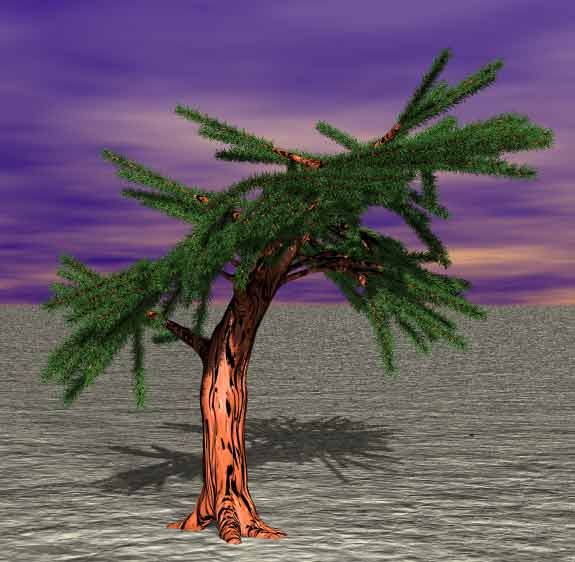 Tree 27