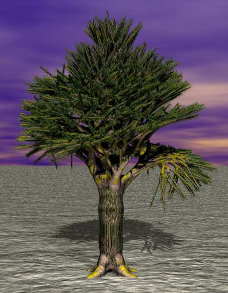 Tree 28
