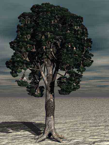 Tree 6