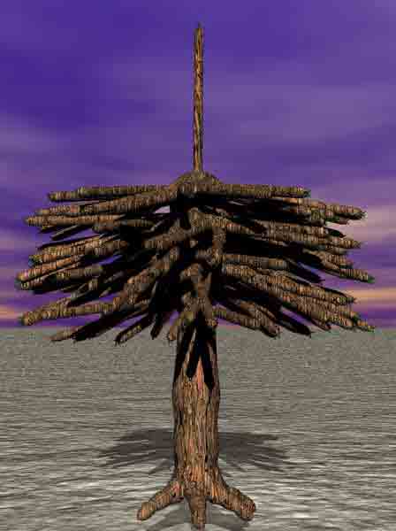 Tree 29