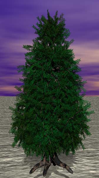 Tree 30
