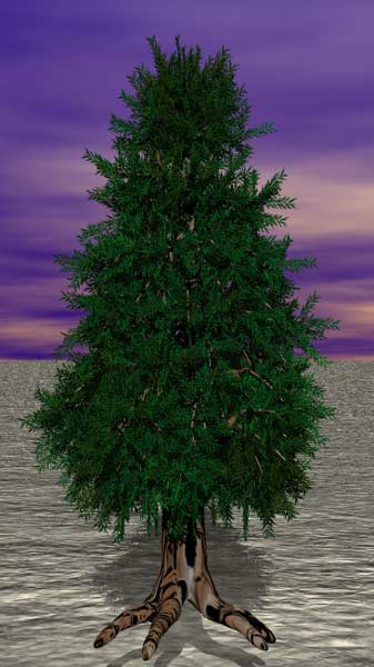 Tree 32