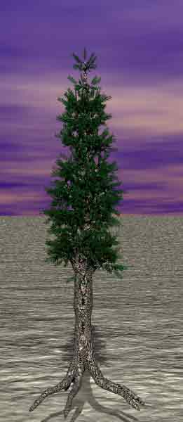 Tree 39