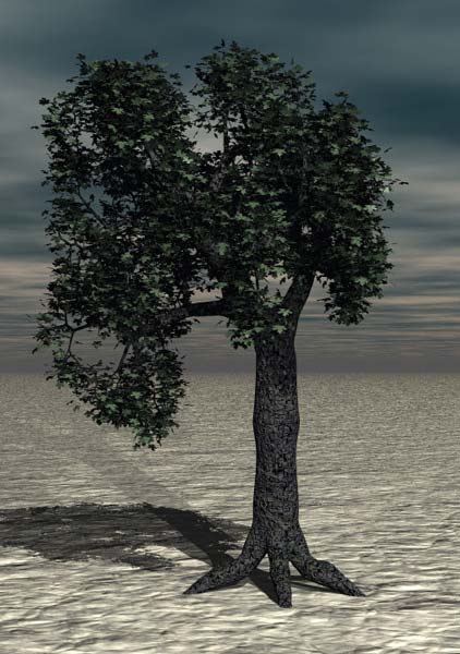 Tree 5 zip