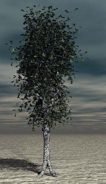 Tree 7 zip